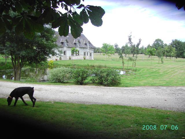 PROCHE DEAUVILLE- pension/retraite chevaux