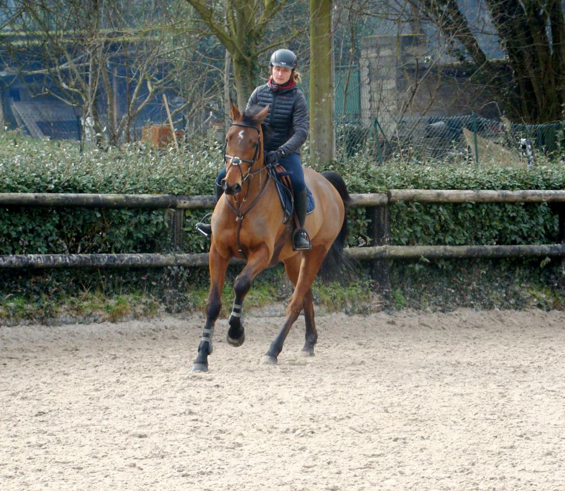 Pension boxes et pré à 1H45 de Paris dans l'Yonne