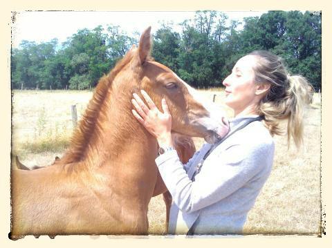 Pension boxes et pré à 1H45 de Paris dans l'Yonne