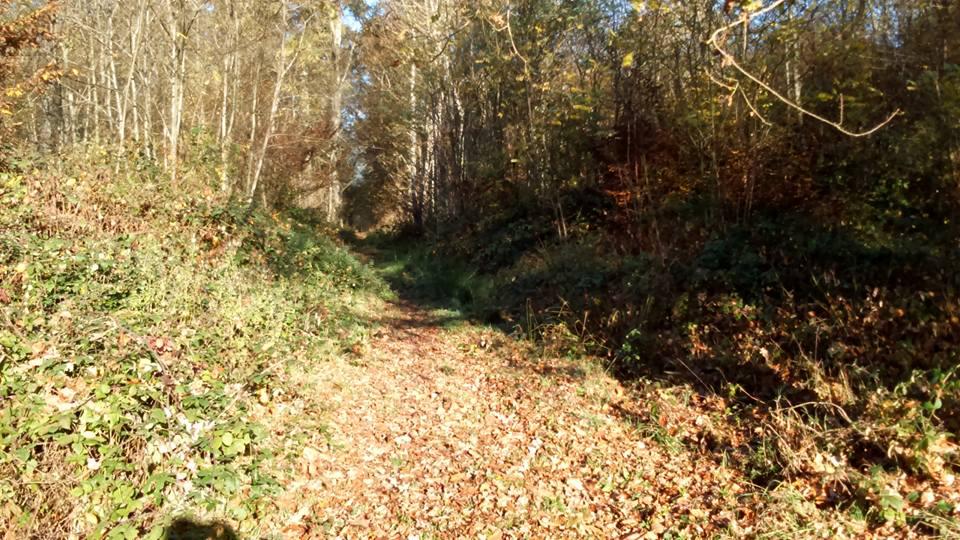 Pension boxes et pré à 1H45 de Paris dans l'Yonne
