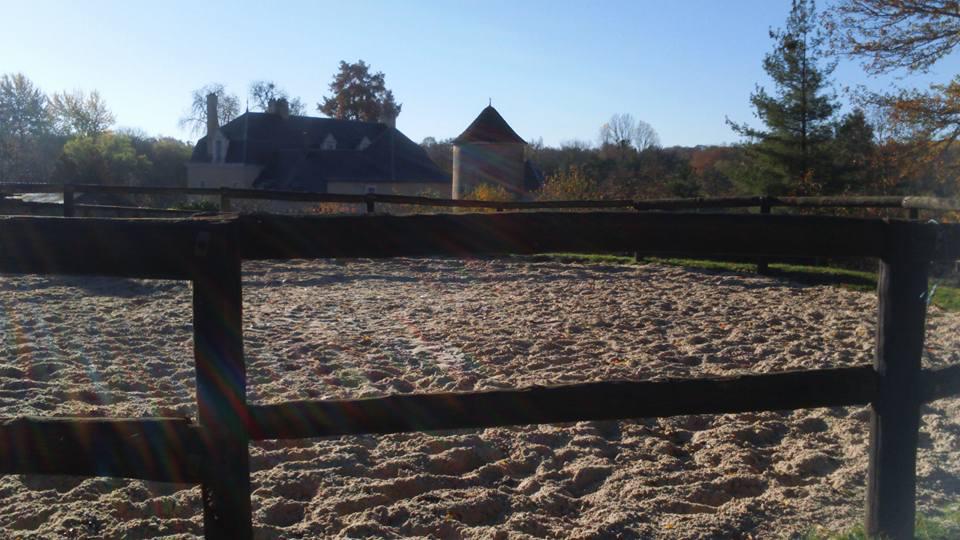 Pension boxes et pré à 1H45 de Paris dans l'Yonne