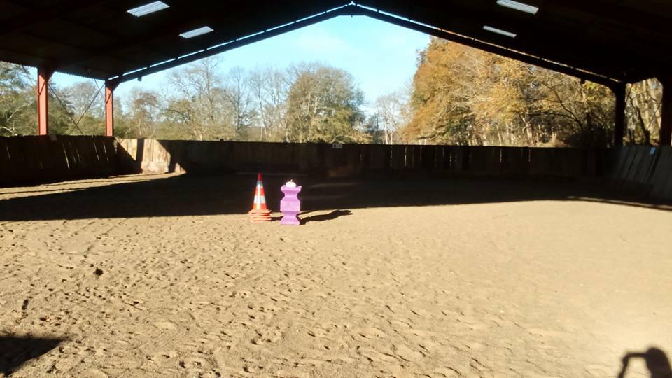 Pension boxes et pré à 1H45 de Paris dans l'Yonne