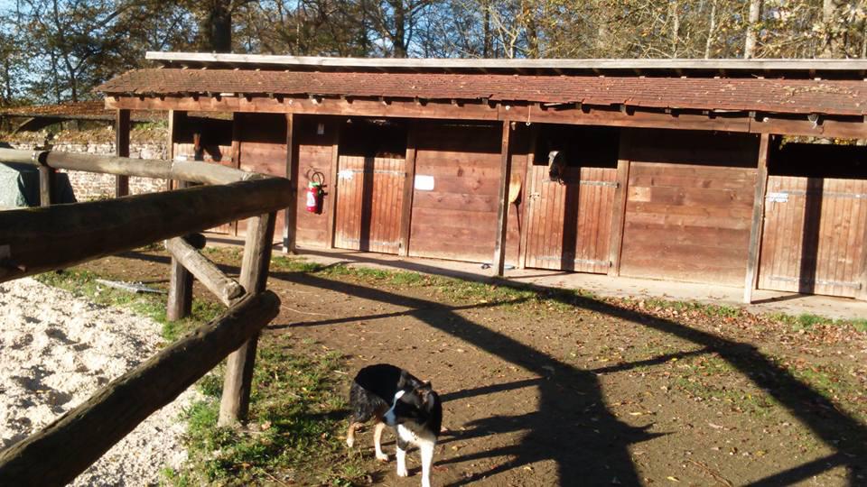 Pension boxes et pré à 1H45 de Paris dans l'Yonne