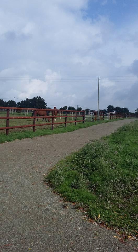 Gite &eacute;questre, Gite de l'aulnay