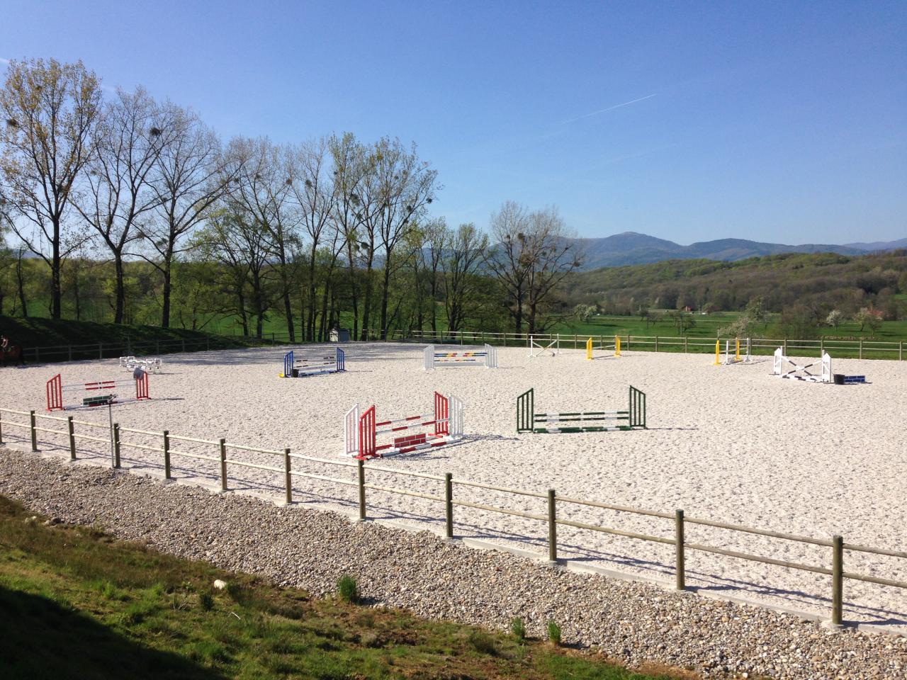 TOUS TYPES DE PENSION CHEVAUX 30 MIN / BASEL