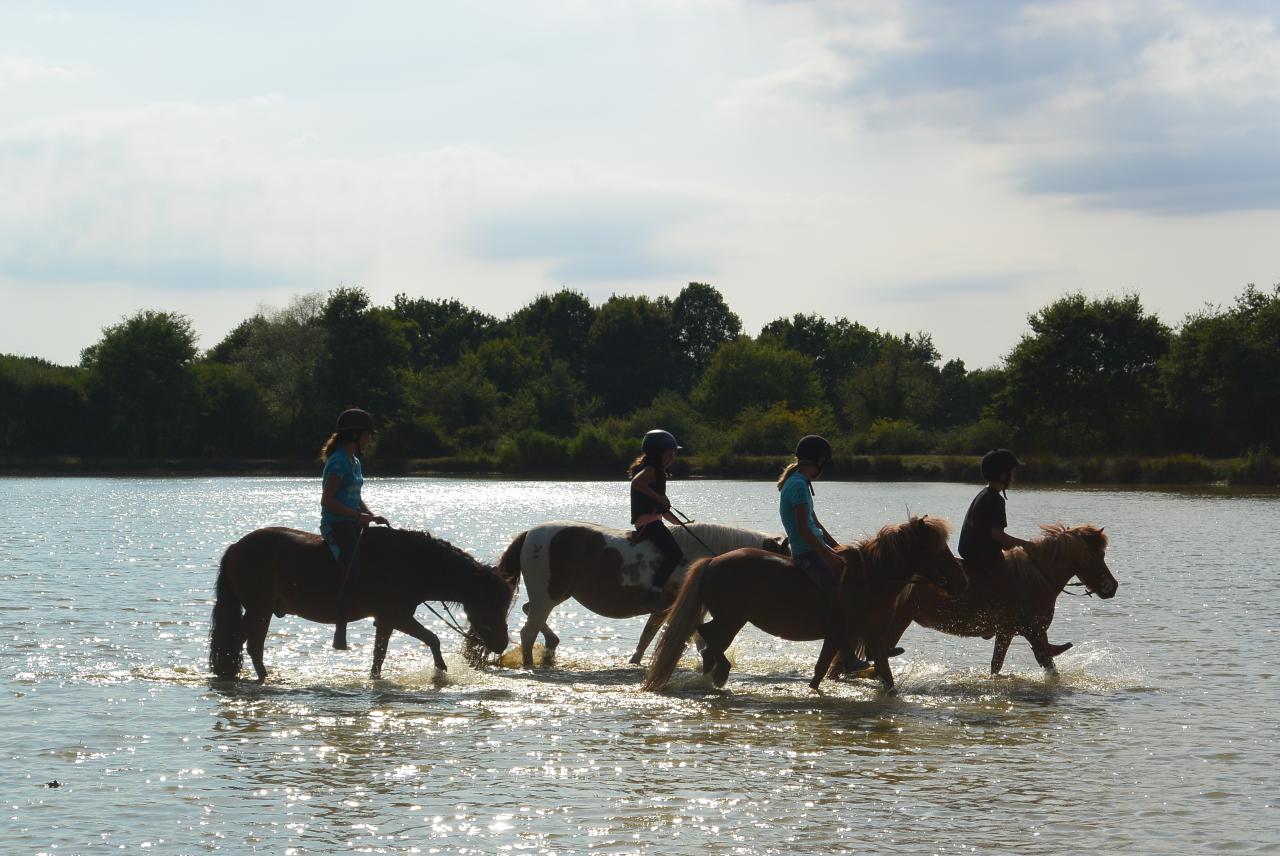 Stage d'équitation proche Paris