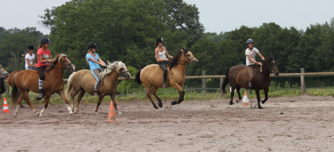 Stage d'équitation proche Paris