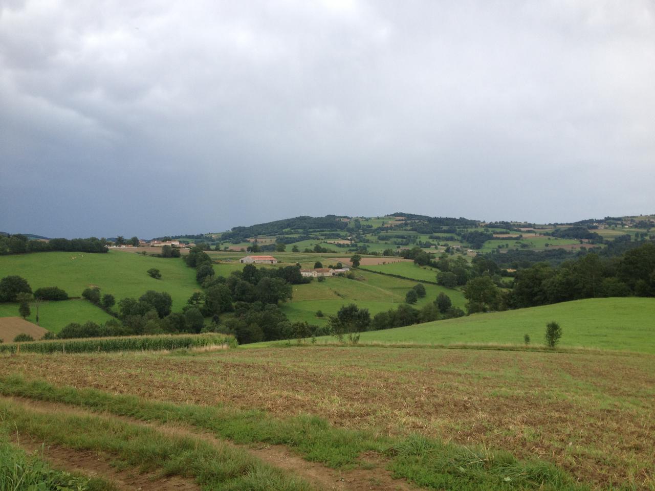 Pension - Valorisation chevaux - Elevage PSL et PRE