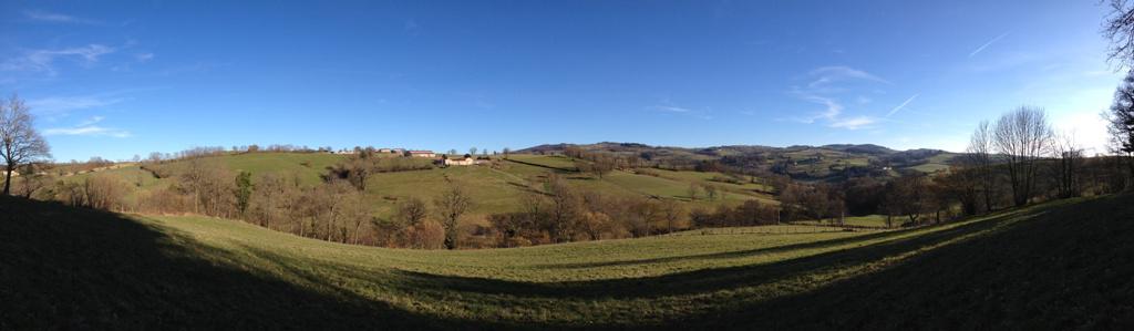 Pension - Valorisation chevaux - Elevage PSL et PRE