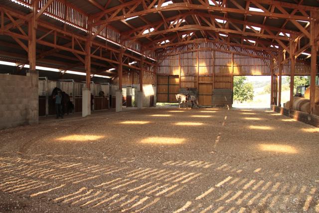 Pension - Valorisation chevaux - Elevage PSL et PRE