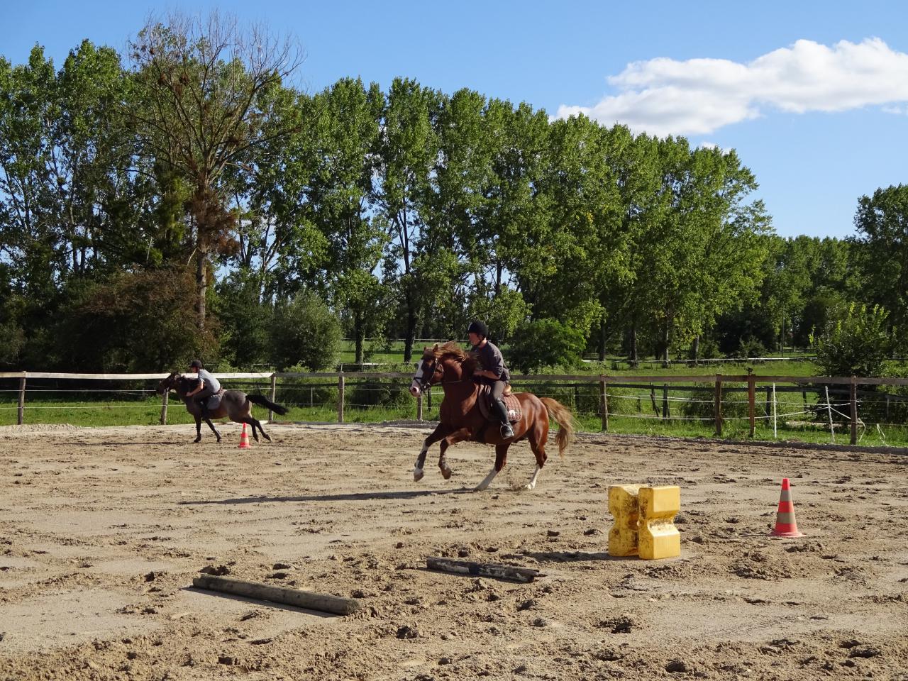 vos chevaux entre de bonnes mains