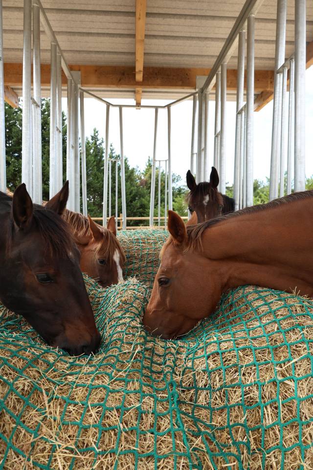 Pension Ecurie Active au bord du lac de la Ganguise