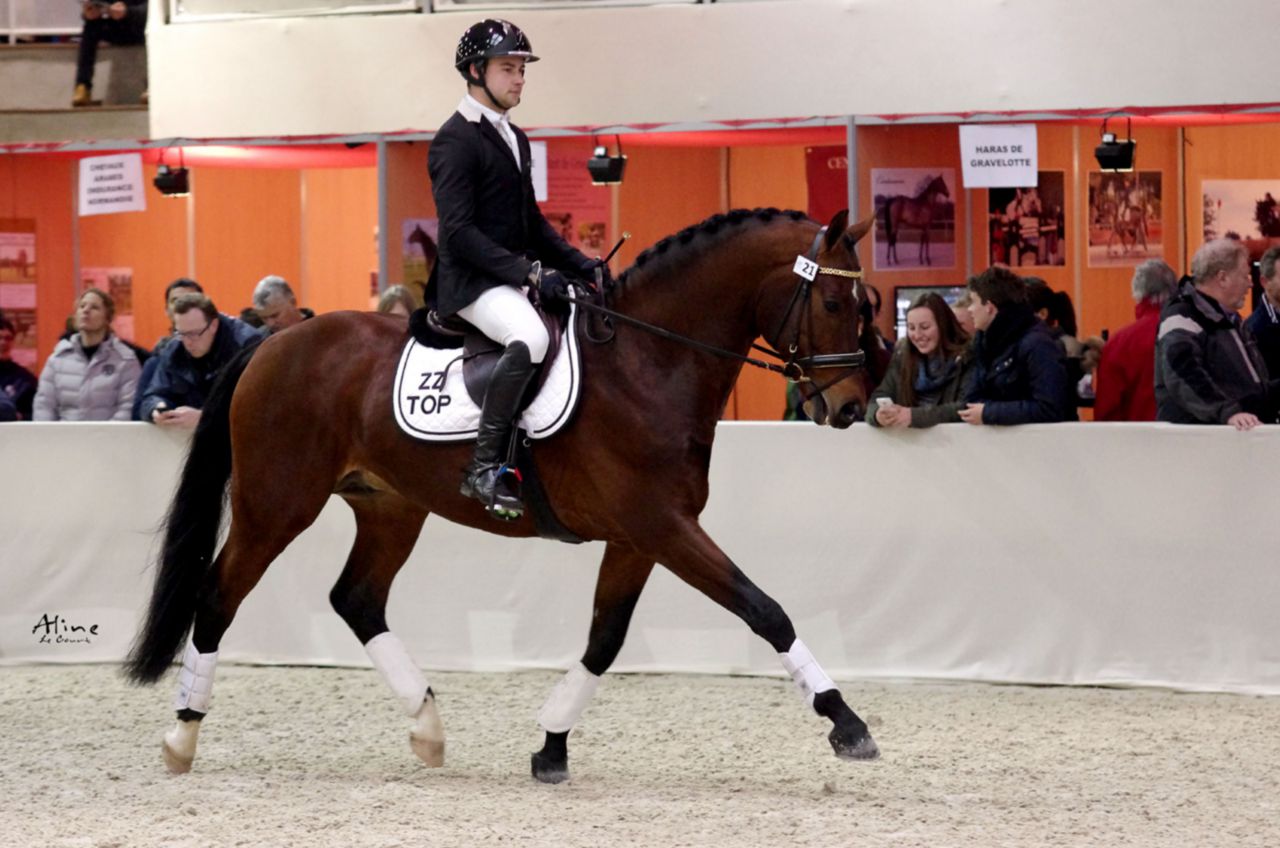 Saillies de ZZ TOP - ETALON DE SPORT 