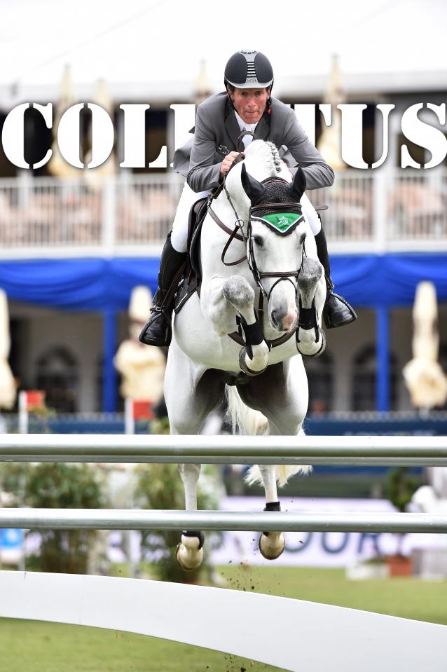 Colestus - 2006 - Gris - 1M70 - Westphalien