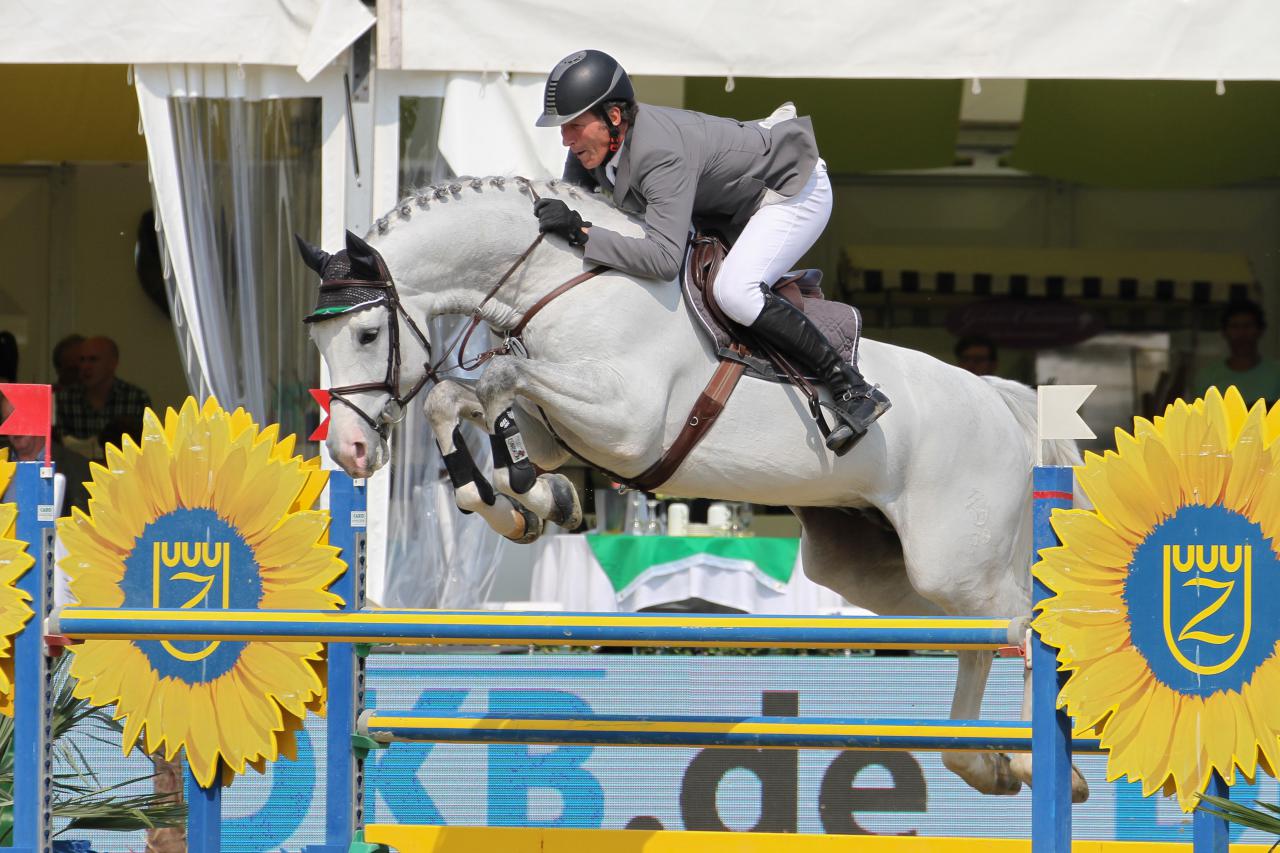 Colestus - 2006 - Gris - 1M70 - Westphalien