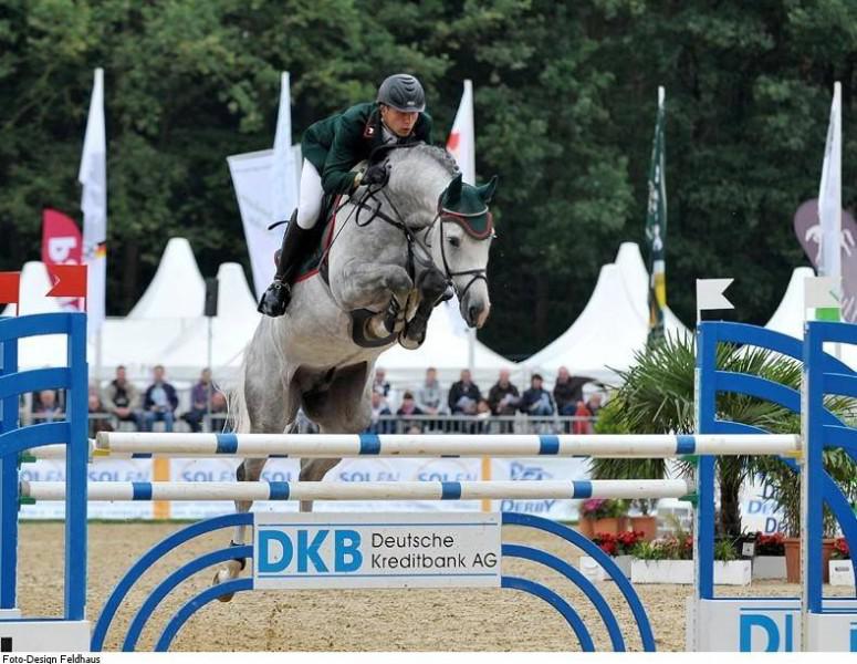 Colestus - 2006 - Gris - 1M70 - Westphalien