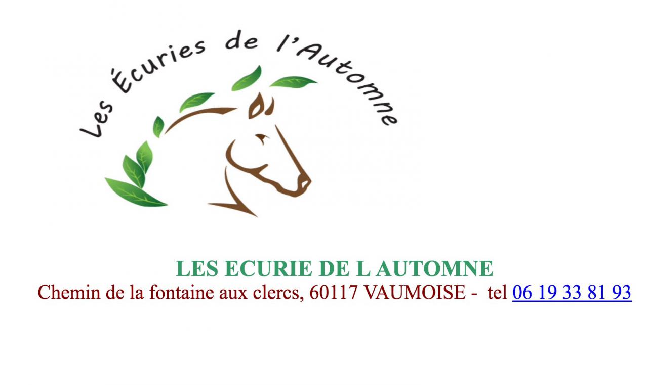 Pension poneys chevaux