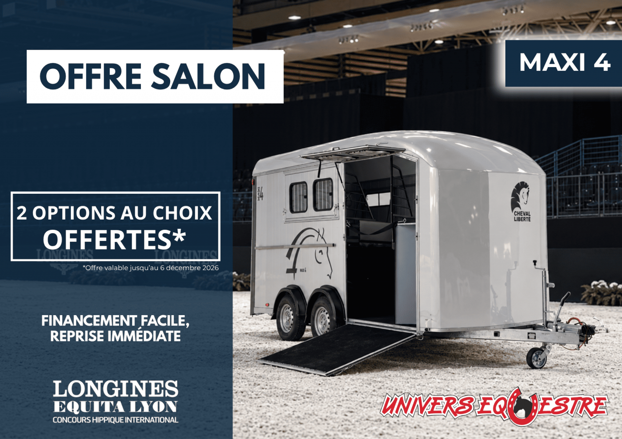 Van CHEVAL LIBERTE 4 places MAXI 4