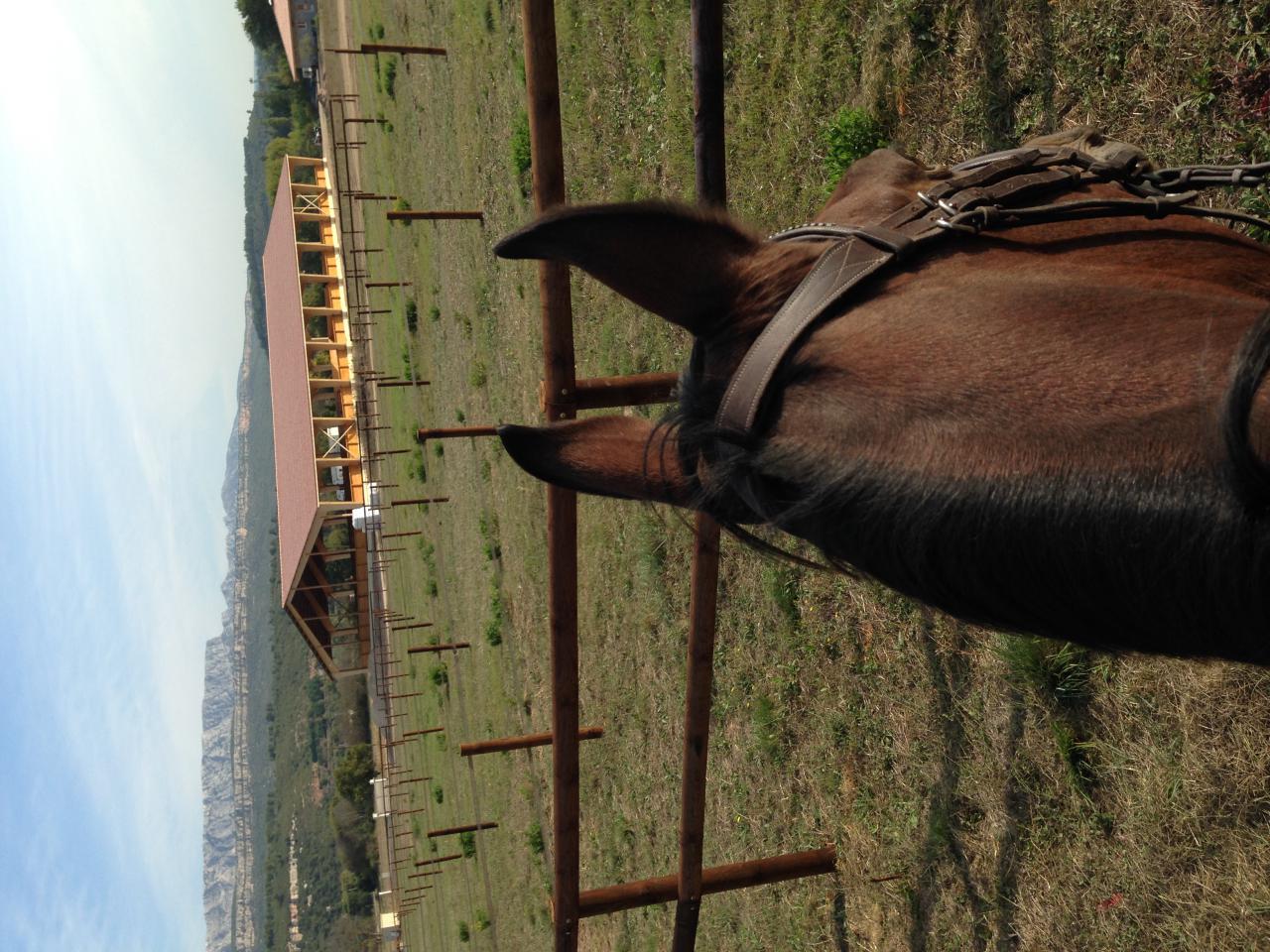 ECURIE WILFRID PIERROT