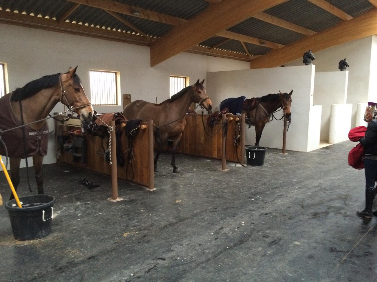 ECURIE WILFRID PIERROT