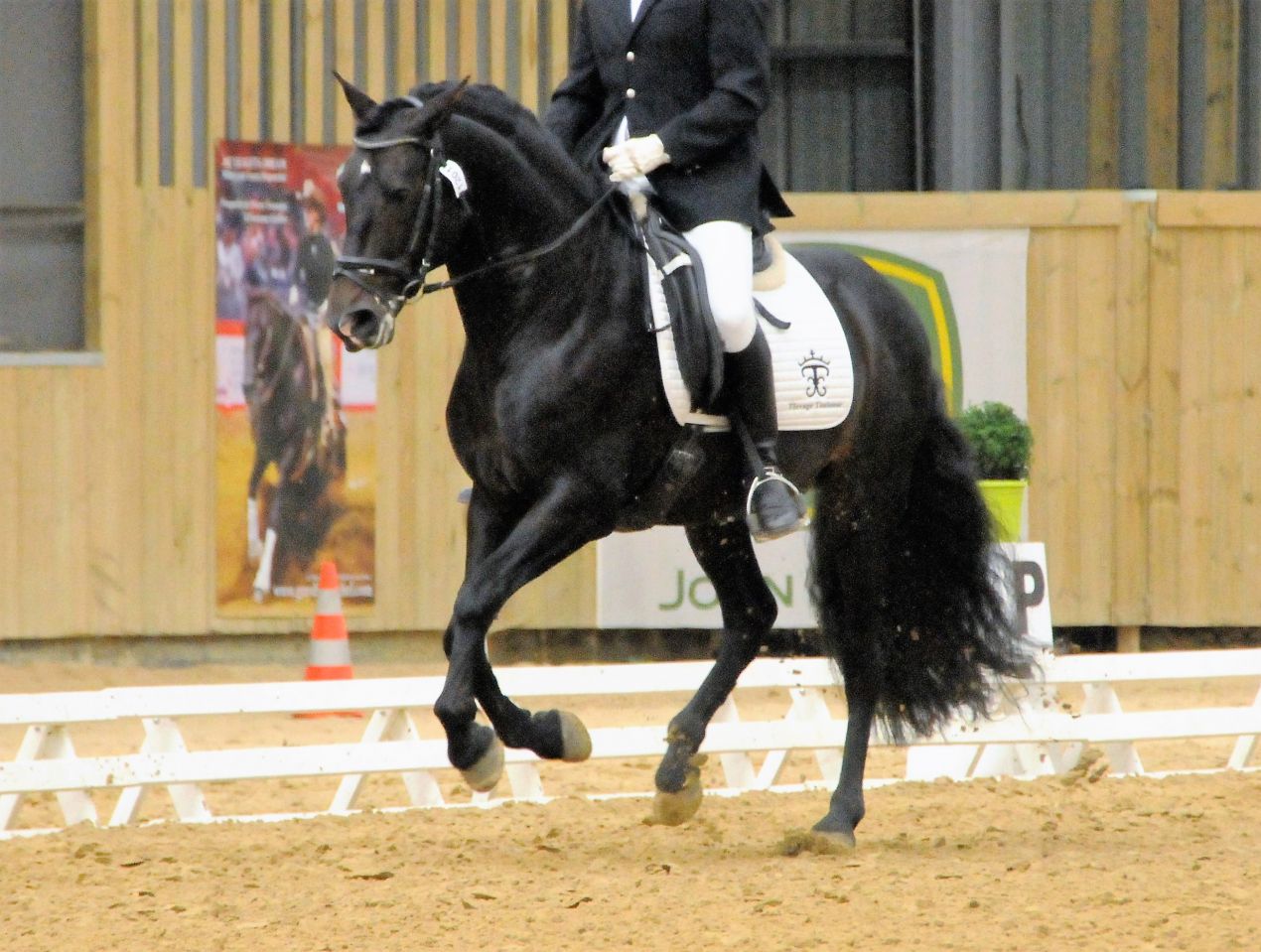 TELGUERO SBA - P.R.E.noir pangaré Org Marin Garcia