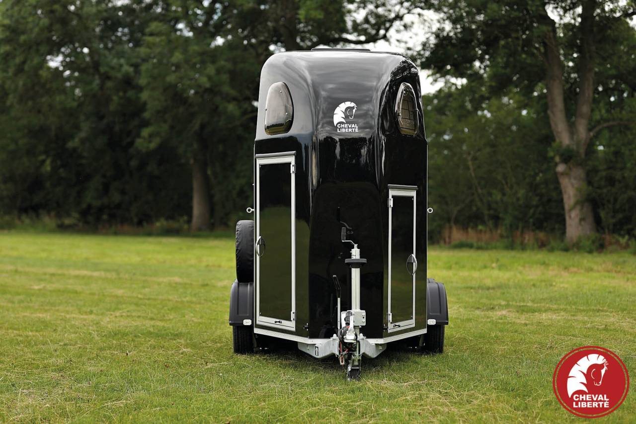 Van Gold One aluline 