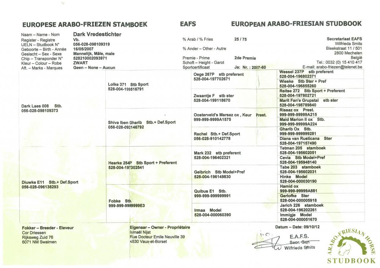 Saillie avec étalon arabo-frison - Dark Vredestichter 