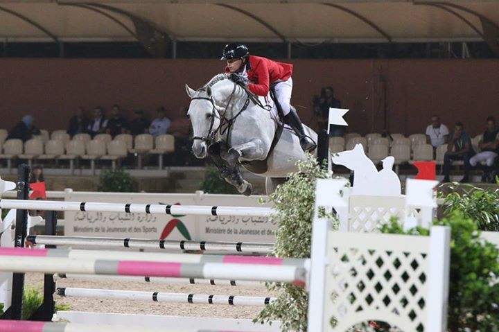 Un super étalon 5* INTERNATIONNAL pour votre jument