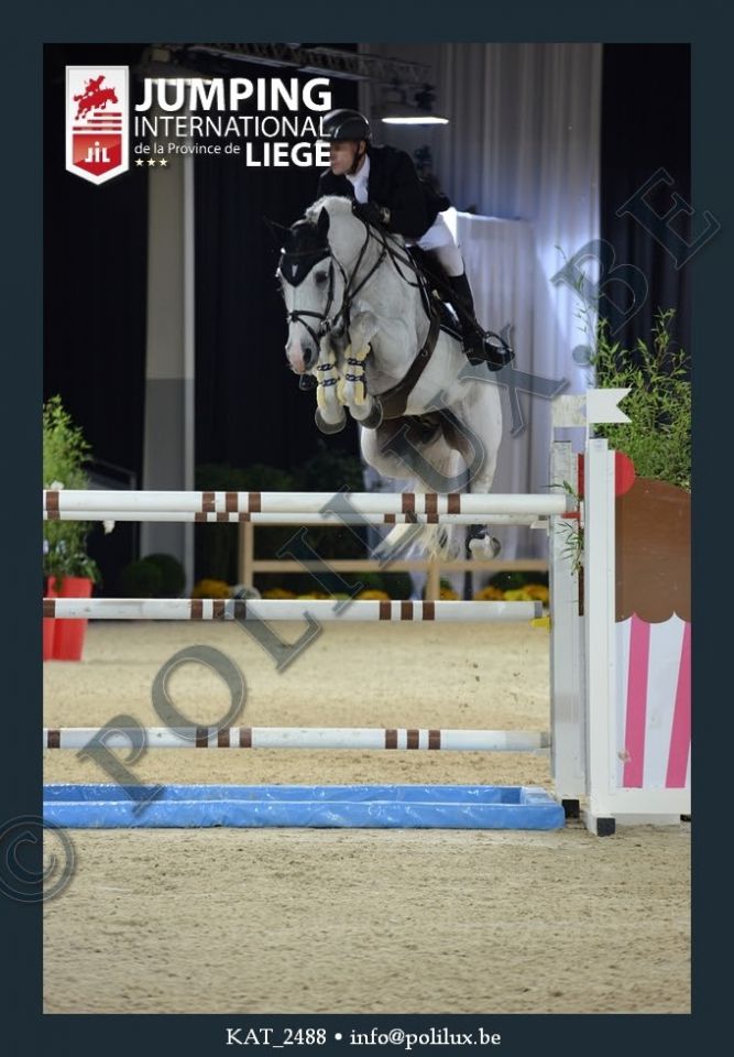 Un super étalon 5* INTERNATIONNAL pour votre jument