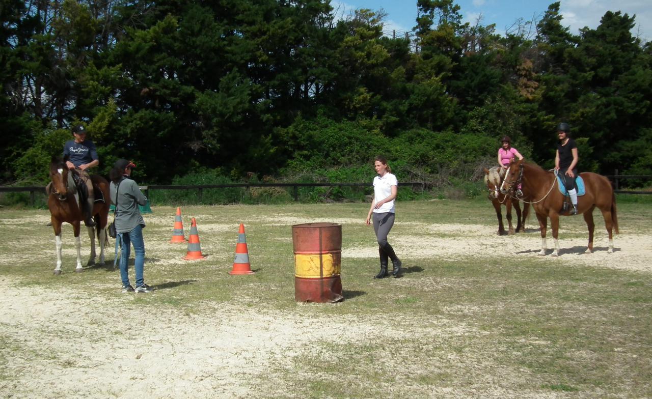 Stage éthologique en Camargue