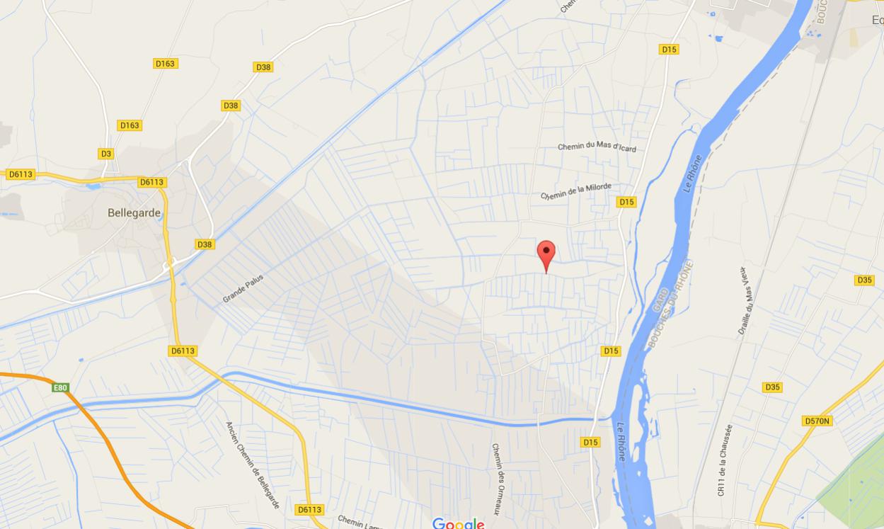 Stage éthologique en Camargue