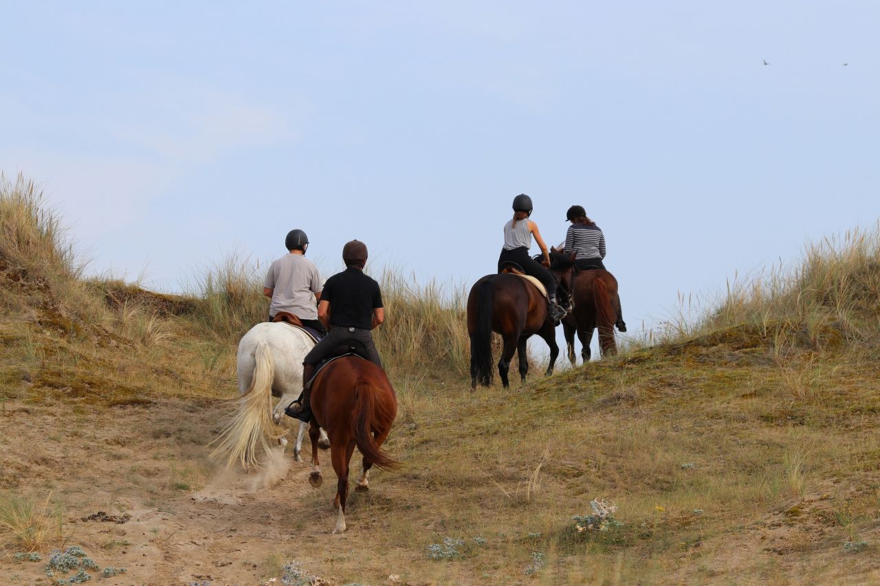 Gîtes équestres bord de mer