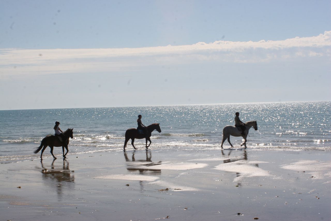 Gîtes équestres bord de mer