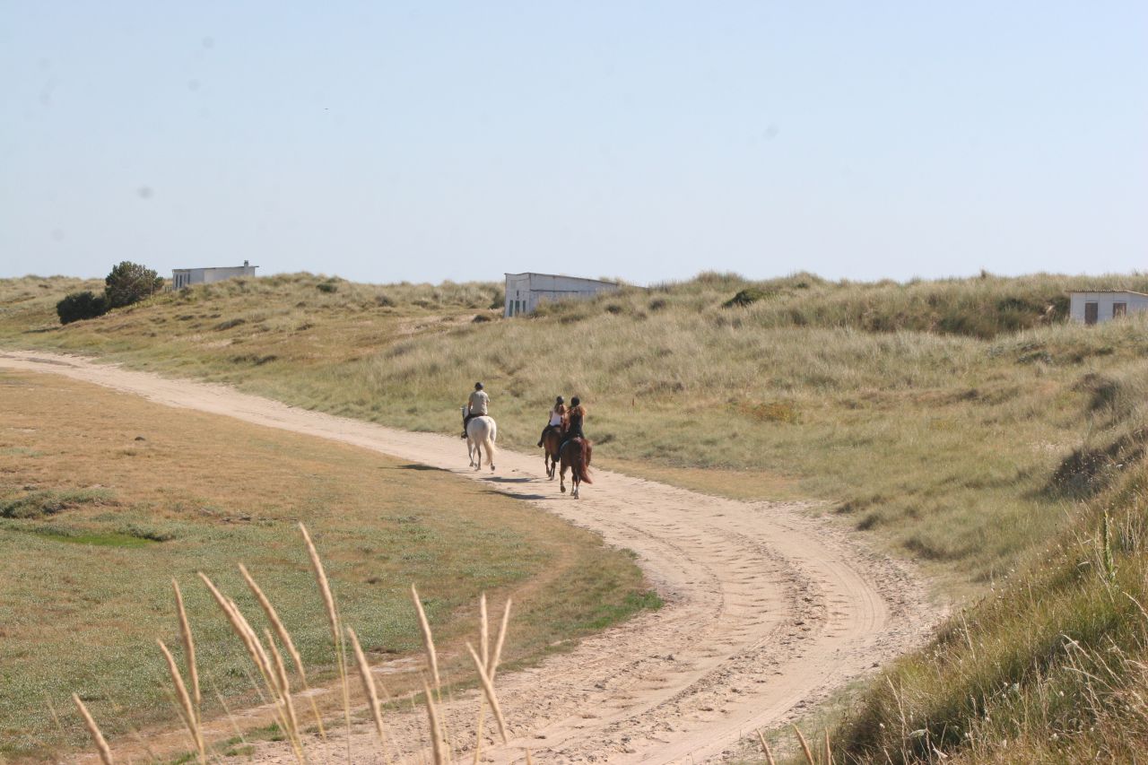 Gîtes équestres bord de mer