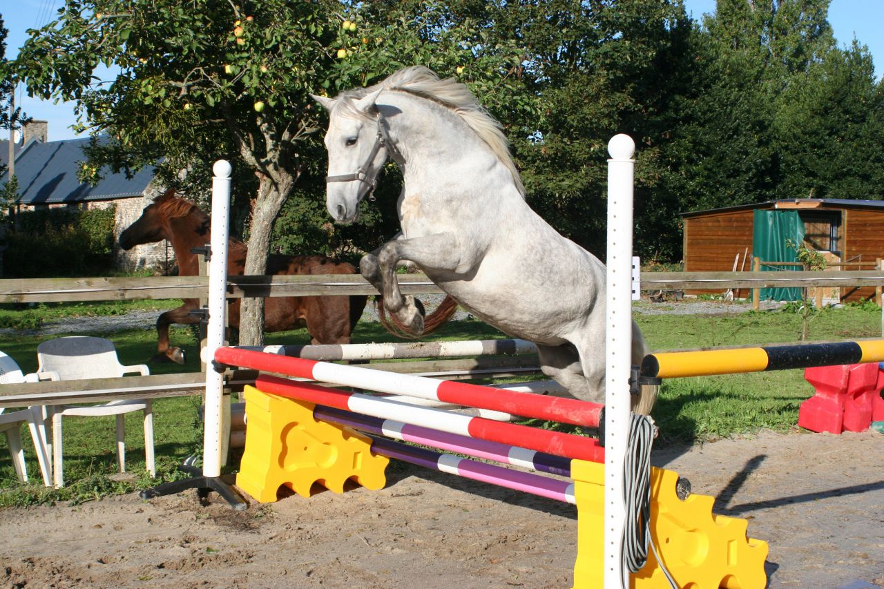 Gîtes équestres bord de mer