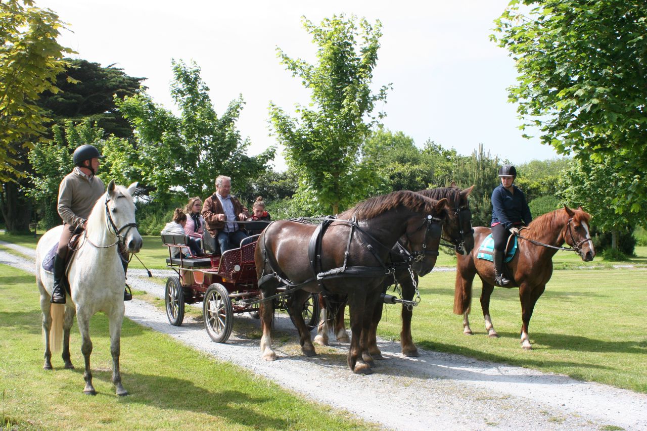 Gîtes équestres bord de mer