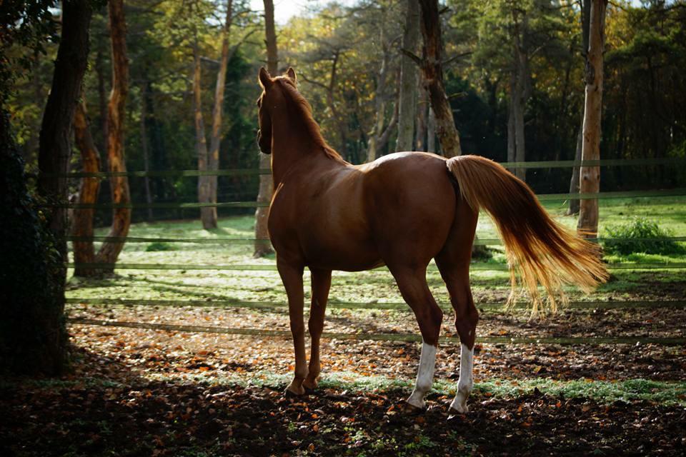 420&euro; PENSIONS PRE/BOX A 5 MN D'ETAMPES 