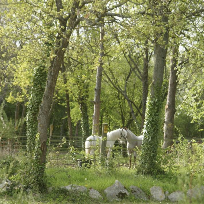 420&euro; PENSIONS PRE/BOX A 5 MN D'ETAMPES 