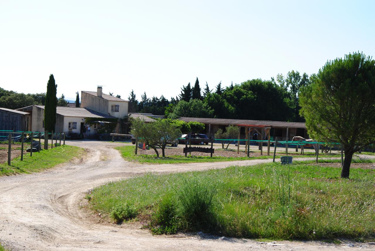Ecurie de propri&eacute;taires &agrave; 10 mn du CV de N&icirc;mes 