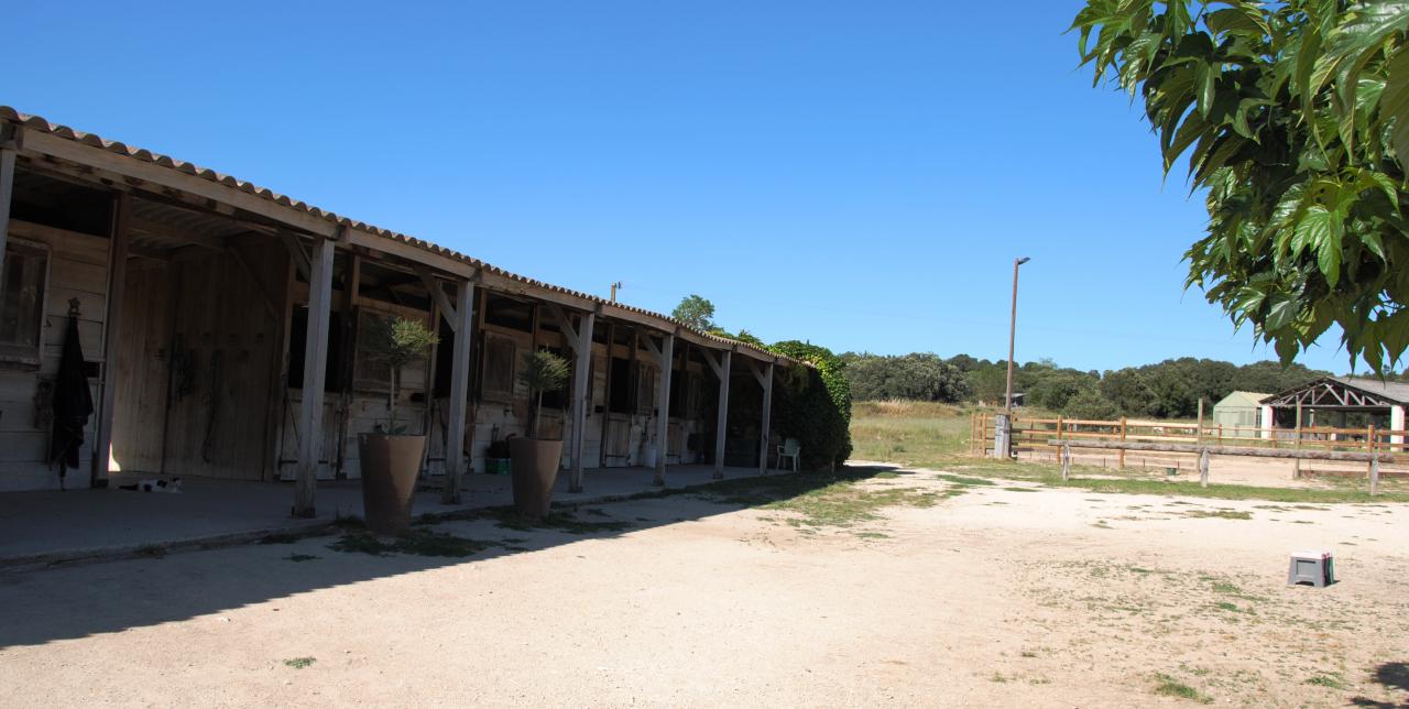 Ecurie de propri&eacute;taires &agrave; 10 mn du CV de N&icirc;mes 