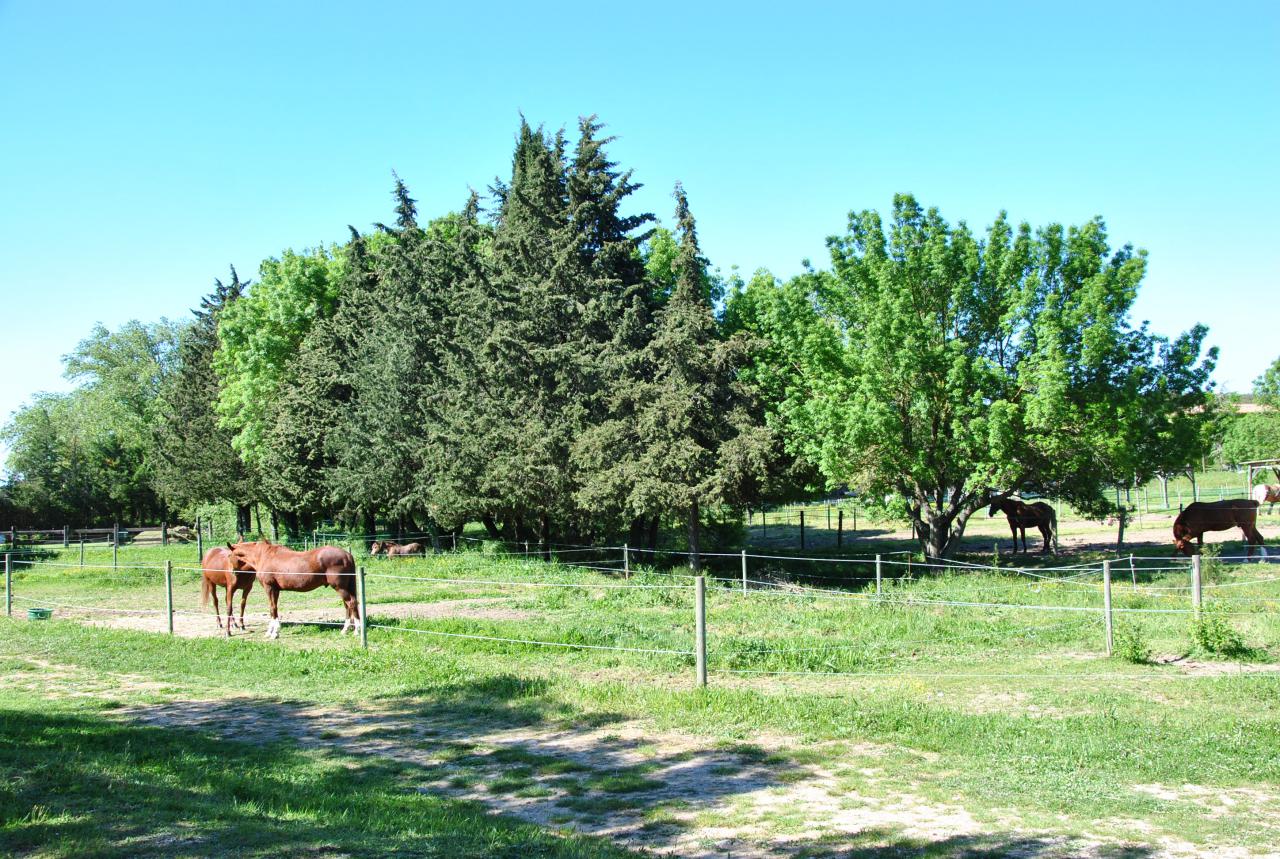 Ecurie de propri&eacute;taires &agrave; 10 mn du CV de N&icirc;mes 