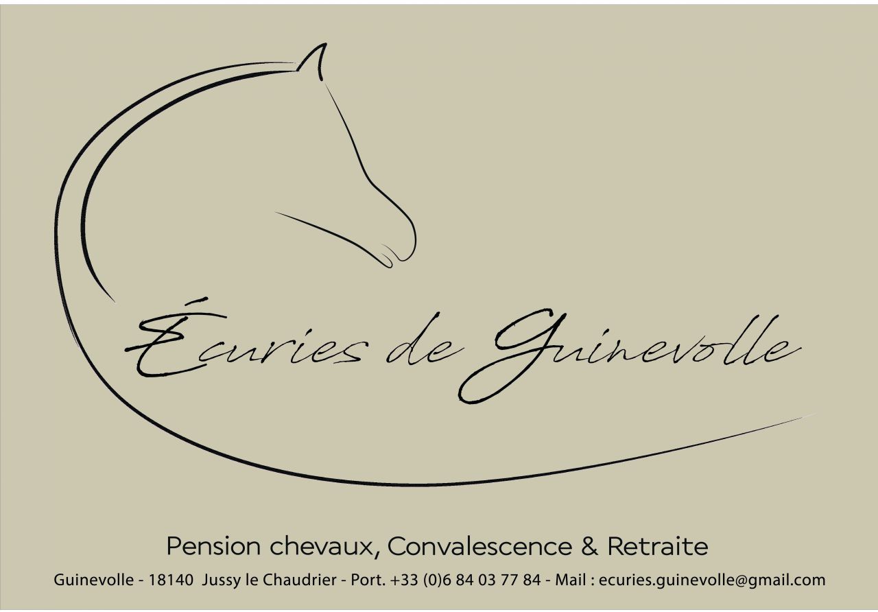 Pension chevaux / poneys / ânes 