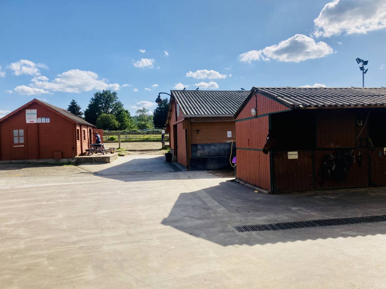 PENSION CHEVAUX ECURIE DE PROPRIETAIRES (ESSONNE 91)