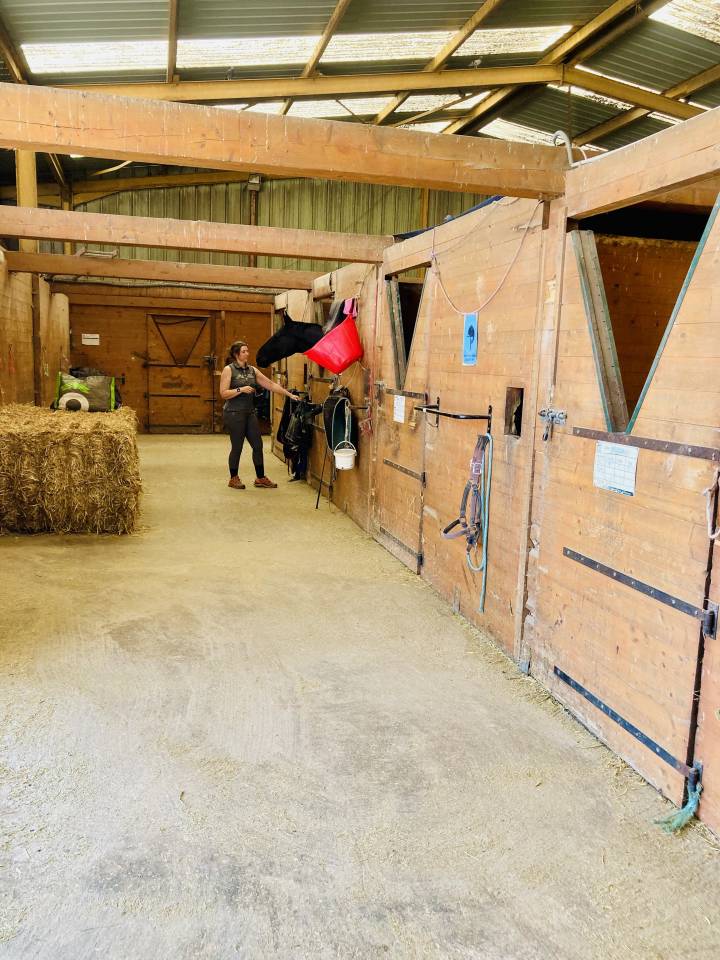 PENSION CHEVAUX ECURIE DE PROPRIETAIRES (ESSONNE 91)