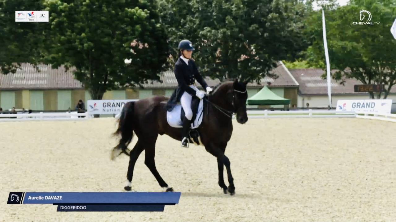 PENSION CHEVAUX ECURIE DE PROPRIETAIRES (ESSONNE 91)