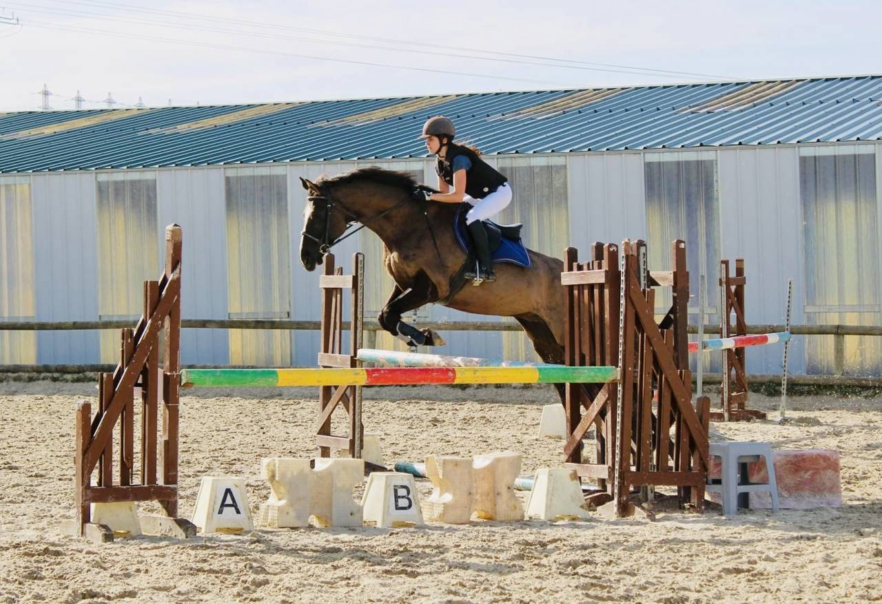 PENSION CHEVAUX ECURIE DE PROPRIETAIRES (ESSONNE 91)