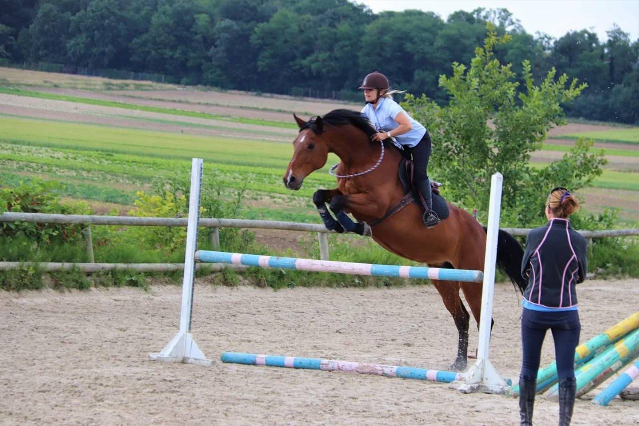 PENSION CHEVAUX ECURIE DE PROPRIETAIRES (ESSONNE 91)
