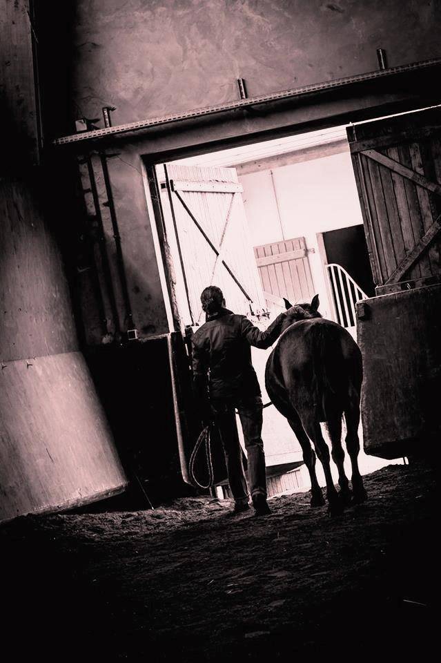 Communication Intuitive&reg; avec les animaux