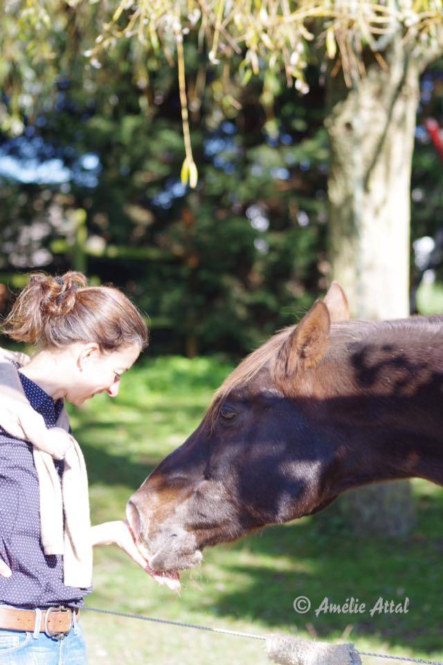 D&eacute;veloppement personnel guid&eacute; par le cheval