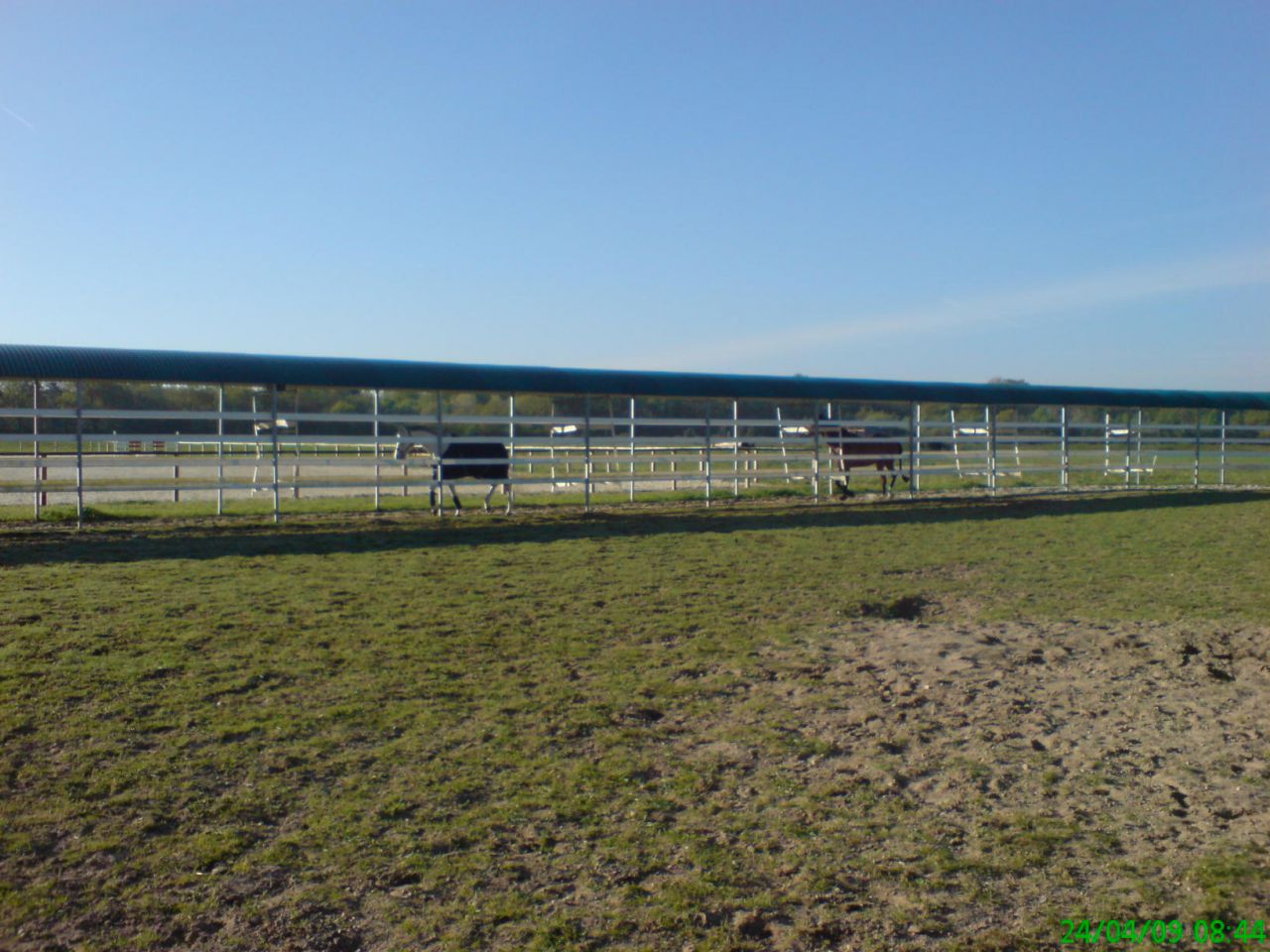 Marcheur Ovale Speed Horse Training jusqu'à 30 chevaux